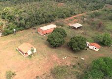 Farm for sale with 166 hectares - 13129