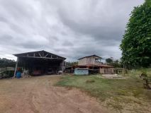 Brésil : ferme fruitière amazonienne - LAk-BR-003