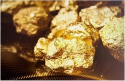 Goldmine 48 t Gold 9.000 ha zu verkaufen - EfG-1115930